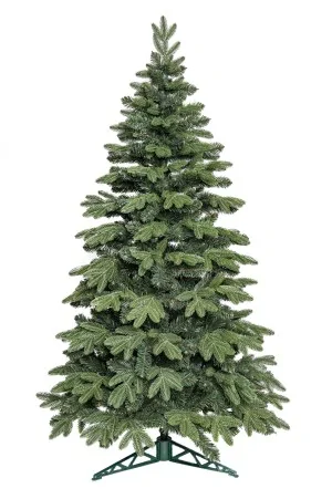Noel