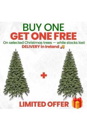 Buy 1, Get 1 Free Alpin...